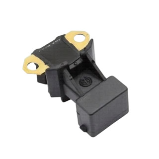 Mountain fox - Vector graphics