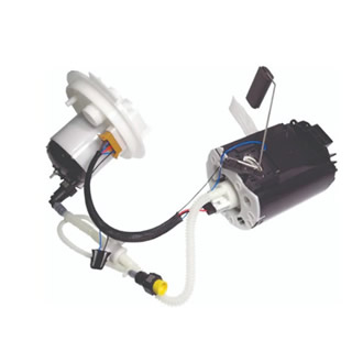 Mountain fox notebook